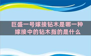 巨盛一号嫁接钻木是哪一种 嫁接中的钻木指的是什么